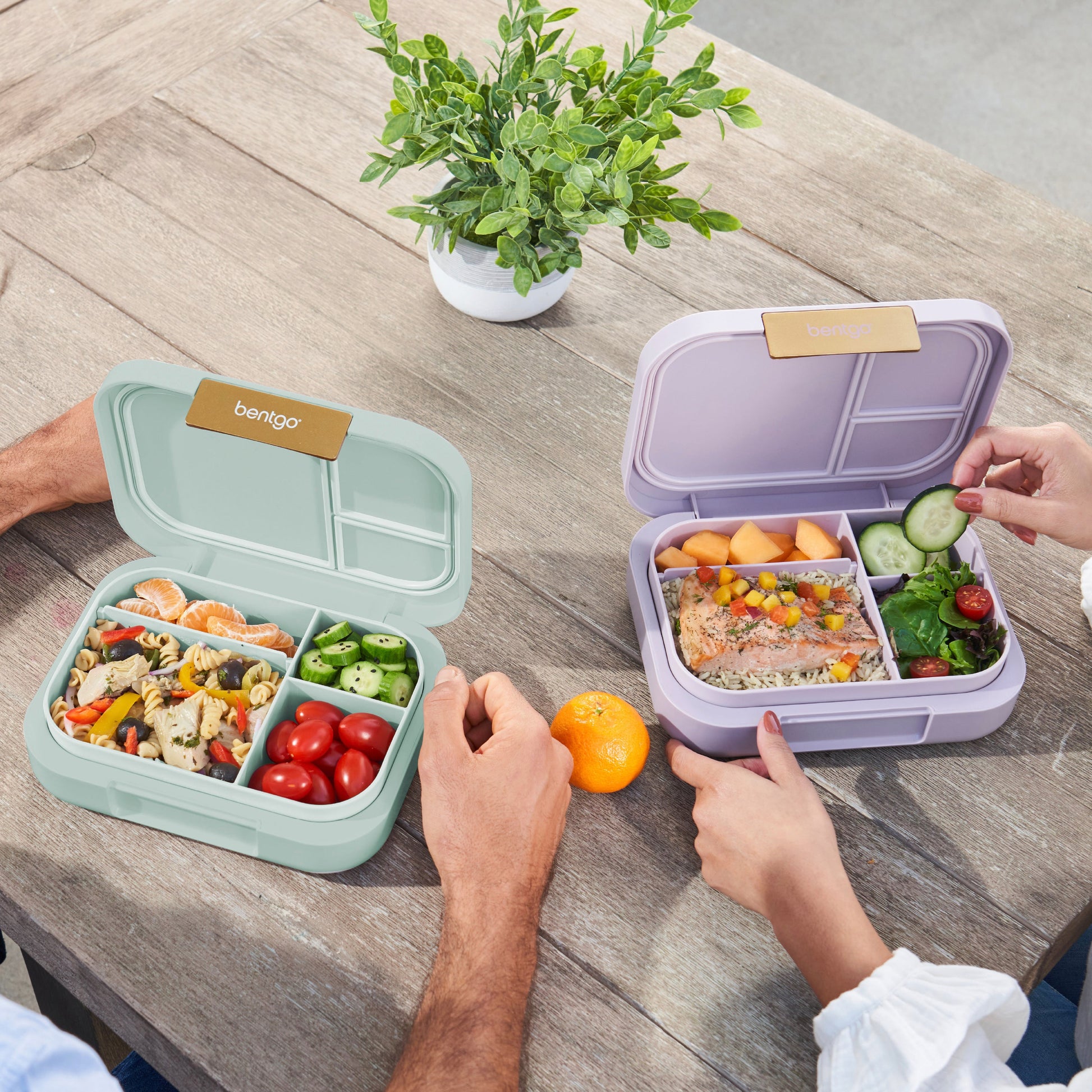 bentgo-modern-lunch-box-2-pack-f0 COSTCOBMCPRODUCTIMAGE_2.jpg